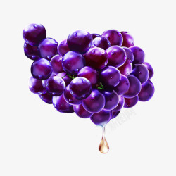 甜美的水晶葡萄水晶紫葡萄高清图片