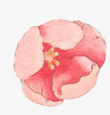 粉红色手绘花朵png免抠素材_新图网 https://ixintu.com 手绘 粉红色 素材 花朵