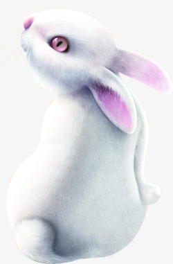 手绘白色小兔子海报素材
