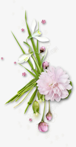 粉红花朵花枝花苞装饰素材