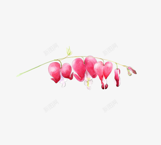 手绘花psd免抠素材_新图网 https://ixintu.com 卡通植物 手绘花 粉红色 粉红色的花 花