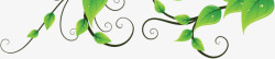 绿色藤蔓绿叶水滴装饰素材