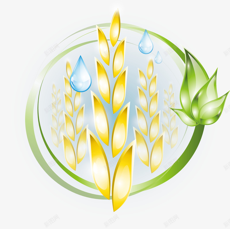 小麦png免抠素材_新图网 https://ixintu.com 卡通手绘 小麦 水彩画 水滴 装饰图案