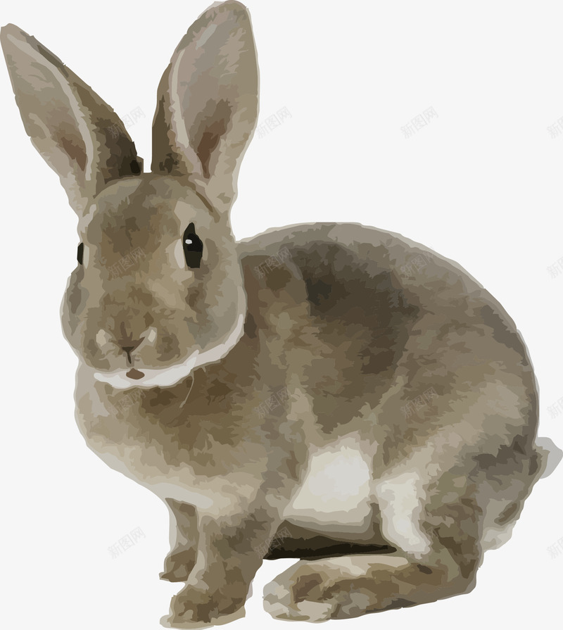 灰兔子小兔子可爱png免抠素材_新图网 https://ixintu.com 兔子 可爱 矢量可爱
