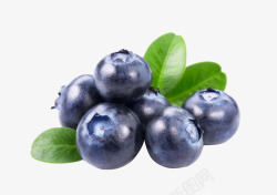 夏季水果蓝莓素材