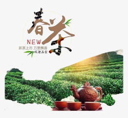 春茶欢迎品茶素材