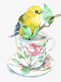 茶杯小鸟茶杯和小鸟高清图片