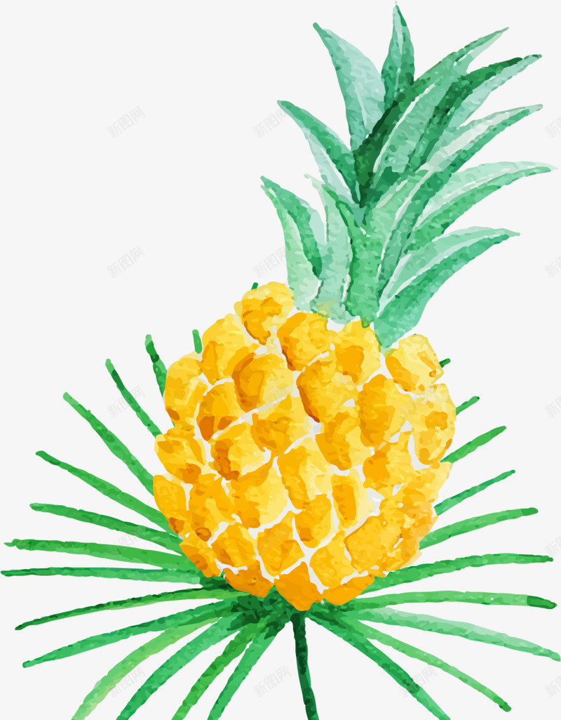 夏季手绘黄色菠萝png免抠素材_新图网 https://ixintu.com 夏季菠萝 手绘菠萝 水彩 画画 绘画 黄色菠萝
