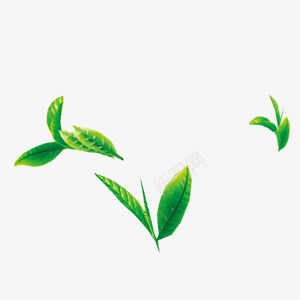 绿色健康茶叶png免抠素材_新图网 https://ixintu.com 健康 有机 绿色 茶叶 青色