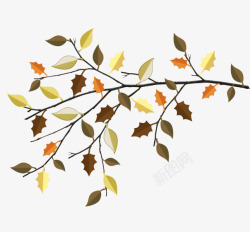 凄凉树叶秋天的树叶高清图片