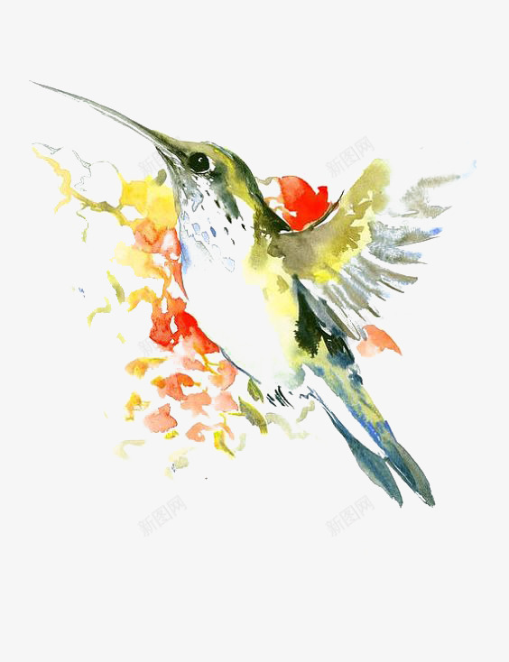 水彩蜂鸟png免抠素材_新图网 https://ixintu.com 动物 卡通 小鸟 手绘 插画 水墨蜂鸟 水彩 蜂鸟