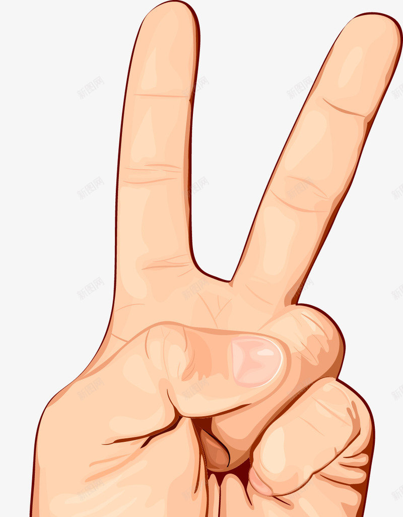 卡通竖着的手指png免抠素材_新图网 https://ixintu.com 卡通手 卡通手图 卡通竖拇指 可爱手指 手势 手型图 手姿势 手指 手掌 拇指 矢量手