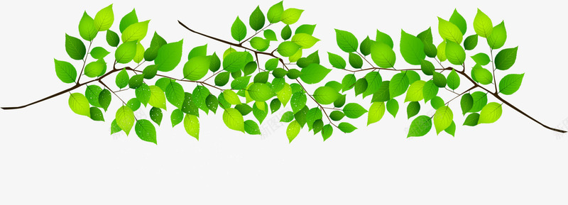 大自然绿色叶子png免抠素材_新图网 https://ixintu.com 大自然 棕色枝条 棕色树枝 绿色叶子 绿色树叶 茂密树叶