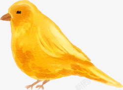 水彩动物黄色小鸟素材