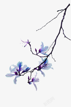 紫色手绘花朵树枝装饰图案素材