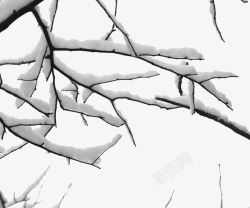 堆积的雪风景树枝和雪高清图片