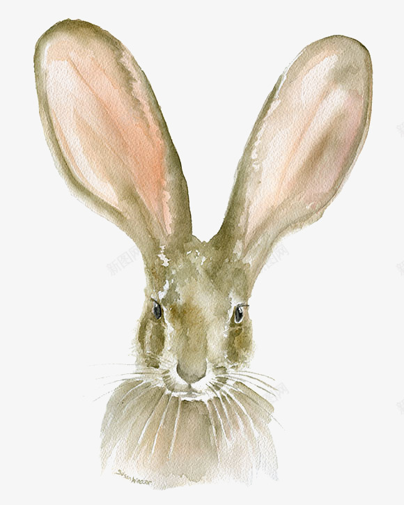 长耳兔png免抠素材_新图网 https://ixintu.com 兔子 动物 卡通 大耳兔 小兔子 手绘