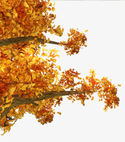 秋天的叶子树素材