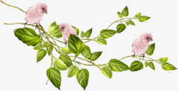 手绘粉色小鸟植物树叶素材
