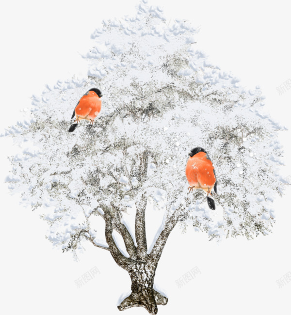 树上的白雪png免抠素材_新图网 https://ixintu.com 卡通 树枝 白雪 鸟