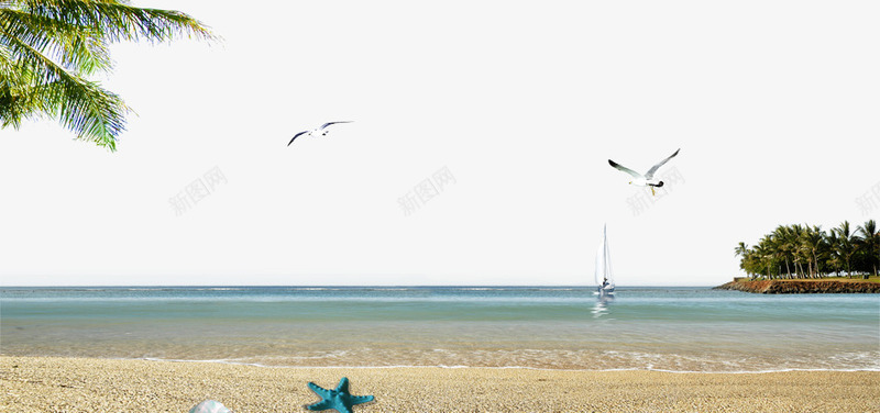 海报夏季沙滩海浪背景png免抠素材_新图网 https://ixintu.com 椰子树 沙滩 海岛 海岛小船 海星 海水 海风 海鸥