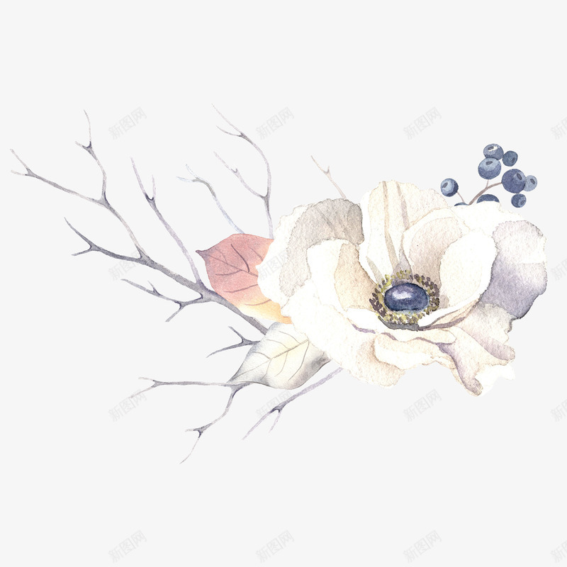 卡通手绘美丽的花png免抠素材_新图网 https://ixintu.com 创意 创意设计 卡通手绘 树枝 植物 水彩 灵感 白色 美丽 花
