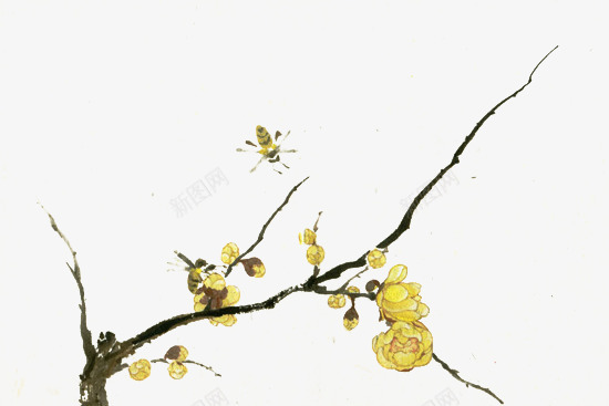 树枝上的黄色花朵手绘png免抠素材_新图网 https://ixintu.com 树枝 花朵 黄色
