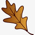 oakleaf橡树叶秋天高清图片