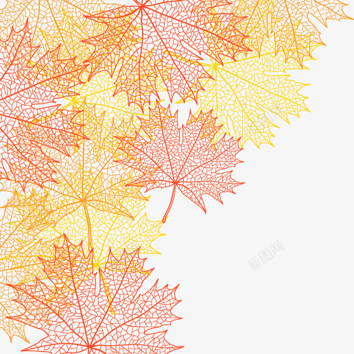 黄色红色树叶枫叶png免抠素材_新图网 https://ixintu.com 枫叶 树叶 红色 黄色