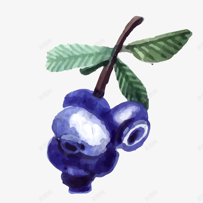水彩绘蓝莓树枝png免抠素材_新图网 https://ixintu.com 卡通水果 卡通蓝莓 绿色叶子 背景装饰