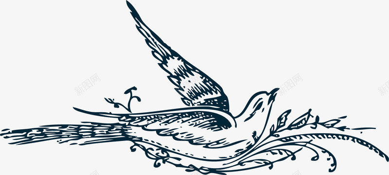 喜鹊叽叽喳喳png免抠素材_新图网 https://ixintu.com 叽叽喳喳 小鸟简笔画 鸟简笔画 鸟类手绘 鸟类简笔 鸟类速写