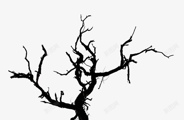 发散的缠绕的树枝图标png_新图网 https://ixintu.com 发散 枝丫 枝叶 柳条 树林 树根 缠绕 缠绕的树枝 随意