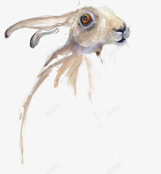 兔鸵png免抠素材_新图网 https://ixintu.com 兔子 创意兔子 创意兔鸵 手绘兔鸵 水彩兔鸵 红眼兔子