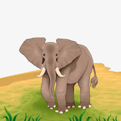 非洲大象矢量图素材