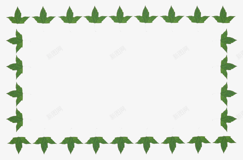 绿色树叶组合的方框png免抠素材_新图网 https://ixintu.com 方框 树叶 树叶组合 绿色
