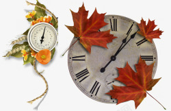 枫叶挂钟和小麦花束钟表素材