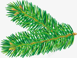 绿色圣诞节松树枝素材