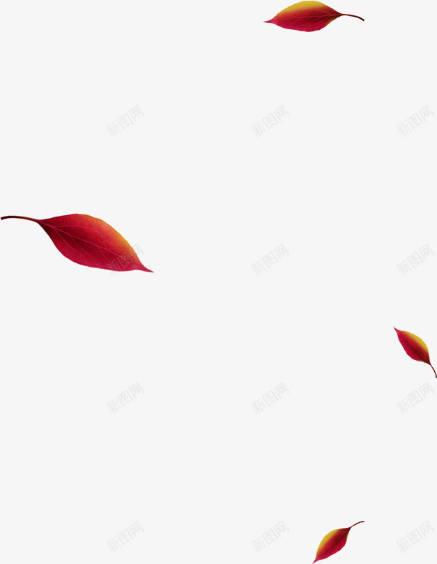 创意元素手绘红色枫叶png免抠素材_新图网 https://ixintu.com 元素 创意 枫叶 红色