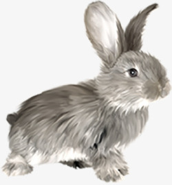 毛绒兔灰兔高清图片