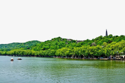 夏季西湖绿色夏季西湖景色实景高清图片