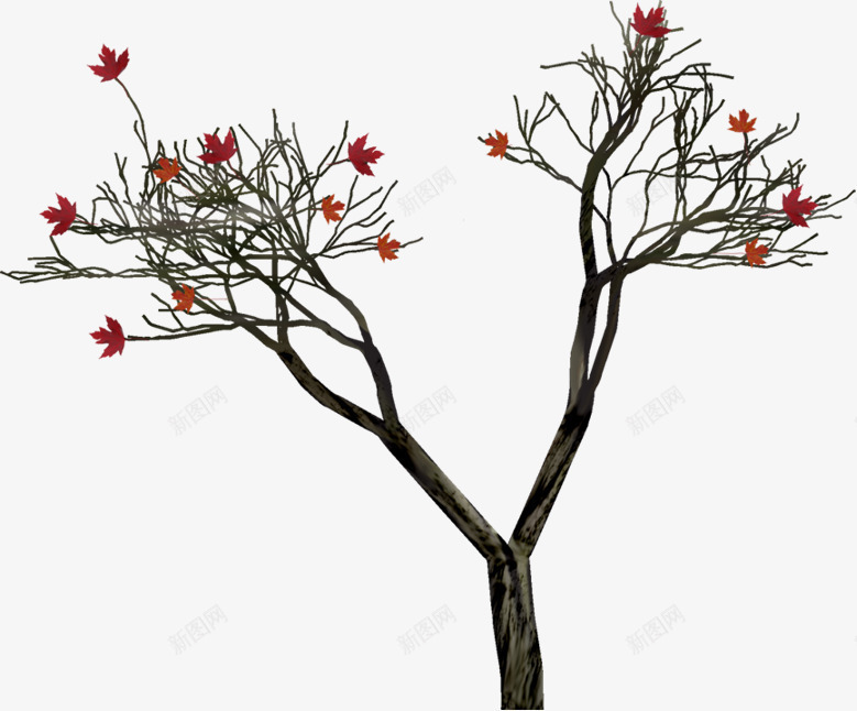 红色枫叶植物png免抠素材_新图网 https://ixintu.com 手绘 枫叶 植物 红色