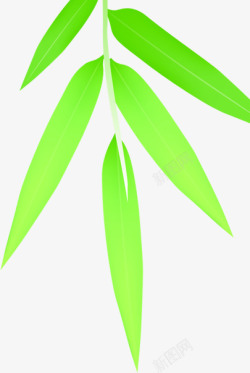 绿色竹叶叶子树枝素材