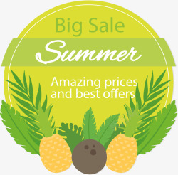 菠萝标签夏季菠萝和椰子装饰促销标签矢量图图标高清图片