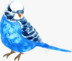 水彩动物蓝色小鸟素材