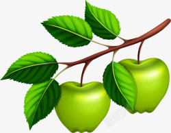 树枝上的苹果手绘树枝上的苹果矢量图高清图片