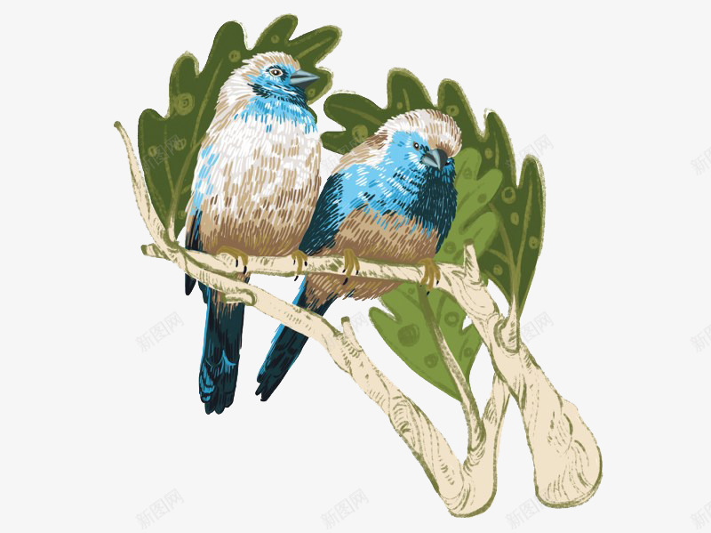 两只休息的小鸟png免抠素材_新图网 https://ixintu.com 彩会小鸟 手绘植物 手绘植物素材 站在树枝上的鸟儿