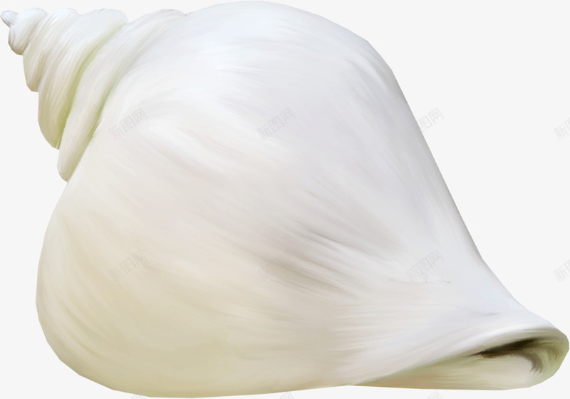 白色海螺png免抠素材_新图网 https://ixintu.com 海螺 玩具 白色 装饰