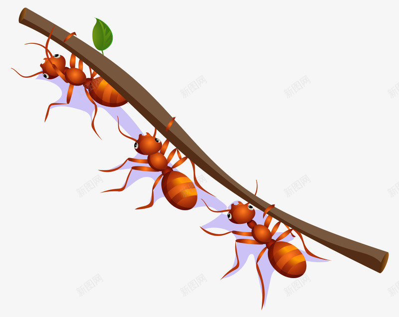 卡通手绘红色蚂蚁搬树枝png免抠素材_新图网 https://ixintu.com 卡的动物 平面蚂蚁素材 手绘的蚂蚁 红色的蚂蚁 蚂蚁搬树枝