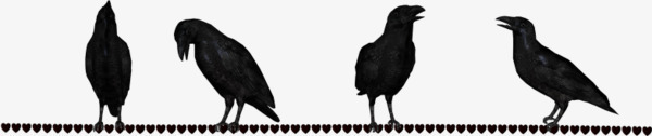 天线上的黑色乌鸦png免抠素材_新图网 https://ixintu.com 乌鸦 天线小鸟 禽类 鸟类