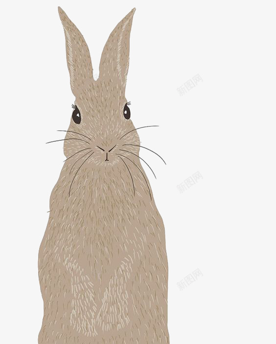灰兔png免抠素材_新图网 https://ixintu.com Q版灰兔 兔子 动物 卡通 可爱 手绘 插画